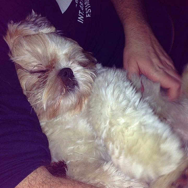 Louie joined the competition — help win amazing prizes!