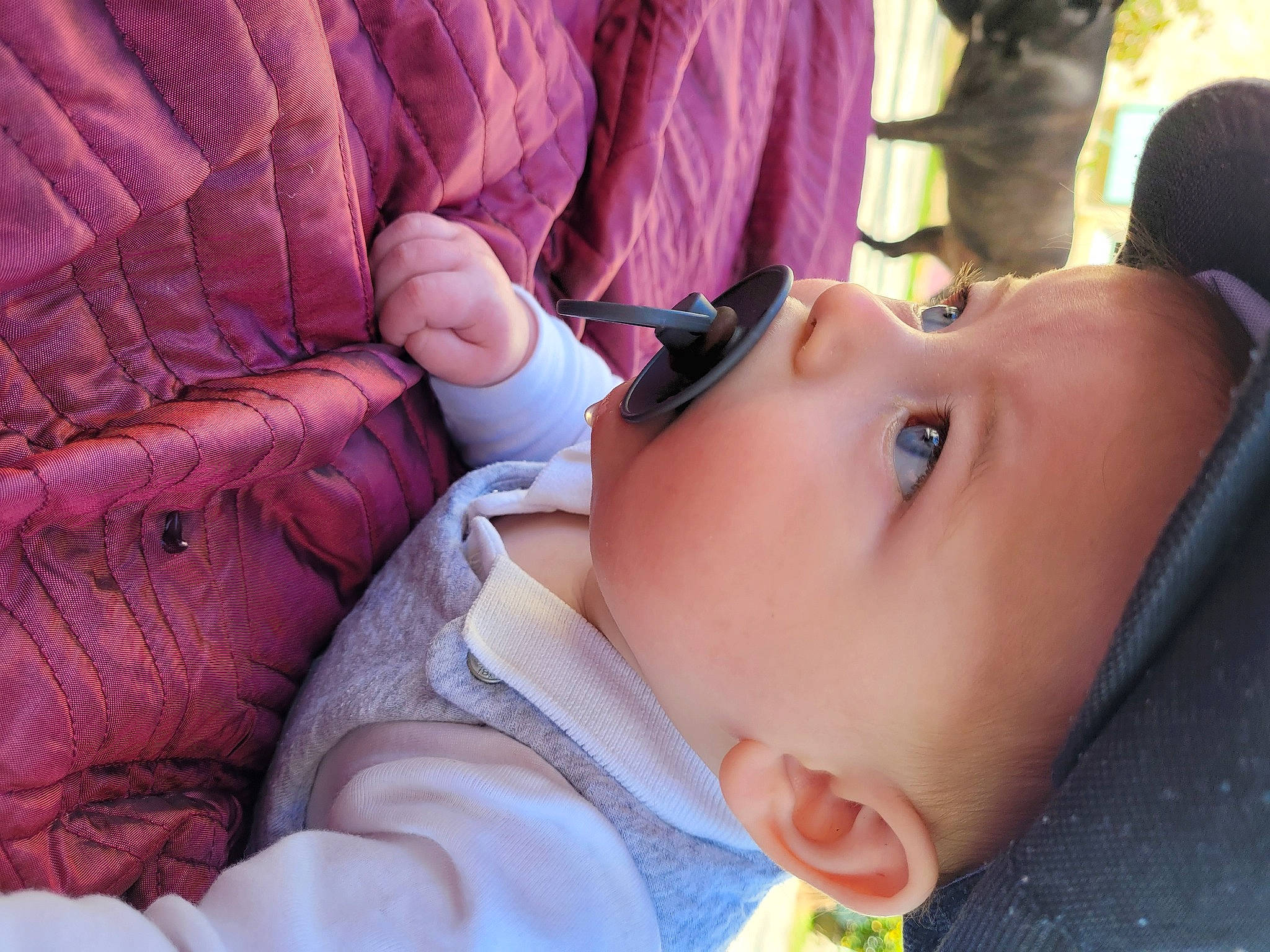 Lino participe au concours pour gagner de l'argent avec cette photo : baby, cheek, chin, ear, eye, eyebrow, eyelash, hairstyle, hand, head, headwear, human, human_body, iris, lip, mammal, mouth, nose, person, plant