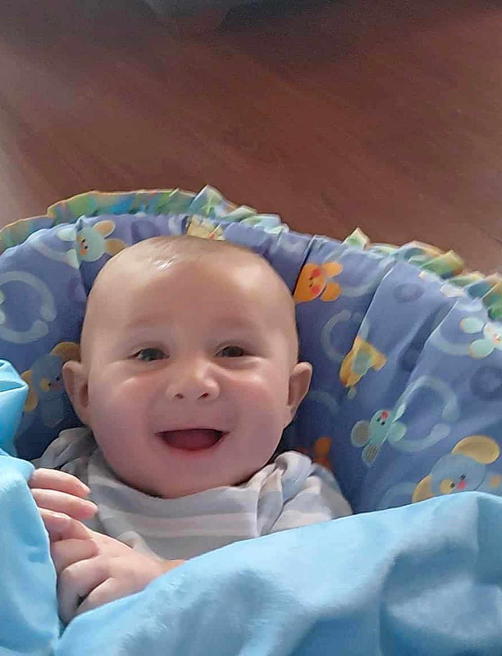 Oliver joined the competition — help win amazing prizes! baby, smiling, infant, blanket, blue, baby_seat, cushion, animal_prints, happy, face, head, hands, clothing, striped_shirt, indoors, wooden_floor, child, person, cute, portrait
