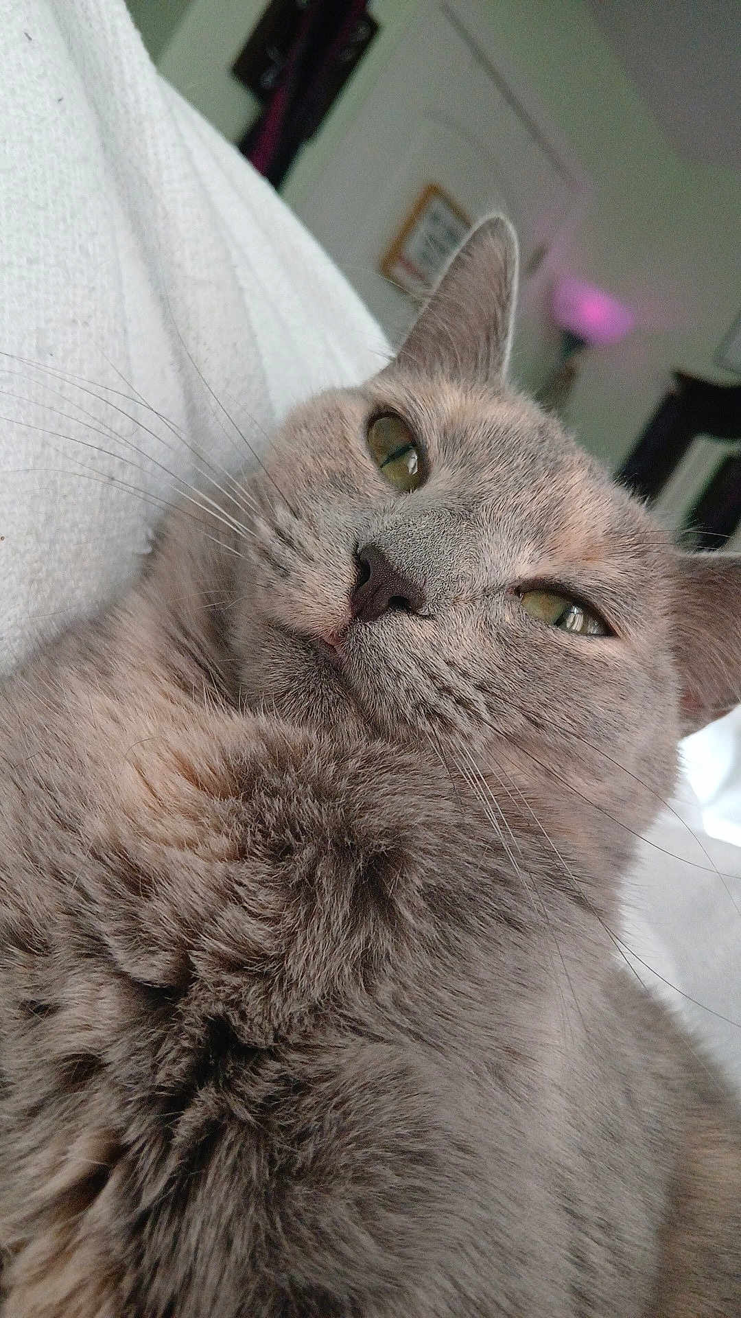 Persephone