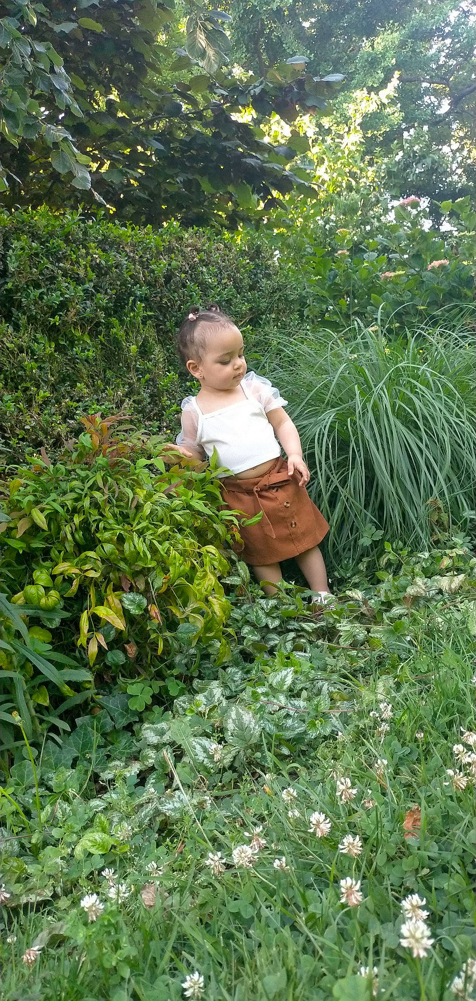 Lilia a rejoint le concours — aidez-le/la à gagner de superbes lots ! annual_plant, flowering_plant, garden, gardening, grass, grass_family, groundcover, herb, landscape, landscaping, nature, people_in_nature, person, plant, plant_community, plantation, shrub, sitting, terrestrial_plant, toddler