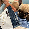 almonds, animal, blue_clothing, brown_dog, butter_toffee, close_up, couch, curious, dog, ear, face, french_bulldog, indoor, kirkland, legs, person, pet, polka_dot, relaxing, snack_bag