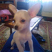 Mickey participe au concours pour gagner de l'argent avec cette photo :