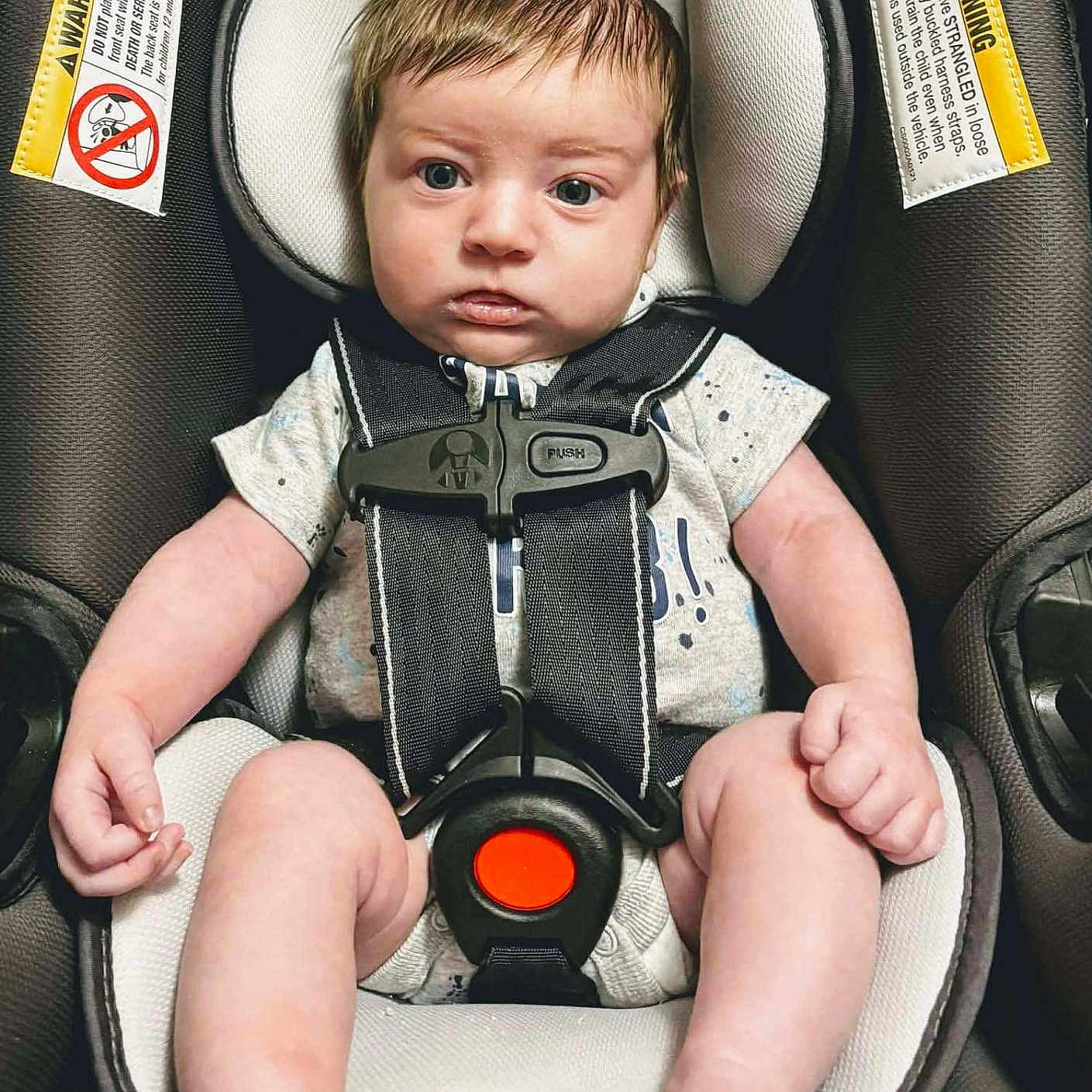 Kohen joined the competition — help win amazing prizes! arms, baby, car_seat, child, closeup, clothing, face, feet, head, indoor, infant, legs, looking, padding, portrait, safety_harness, seat, serious, straps, warning_label