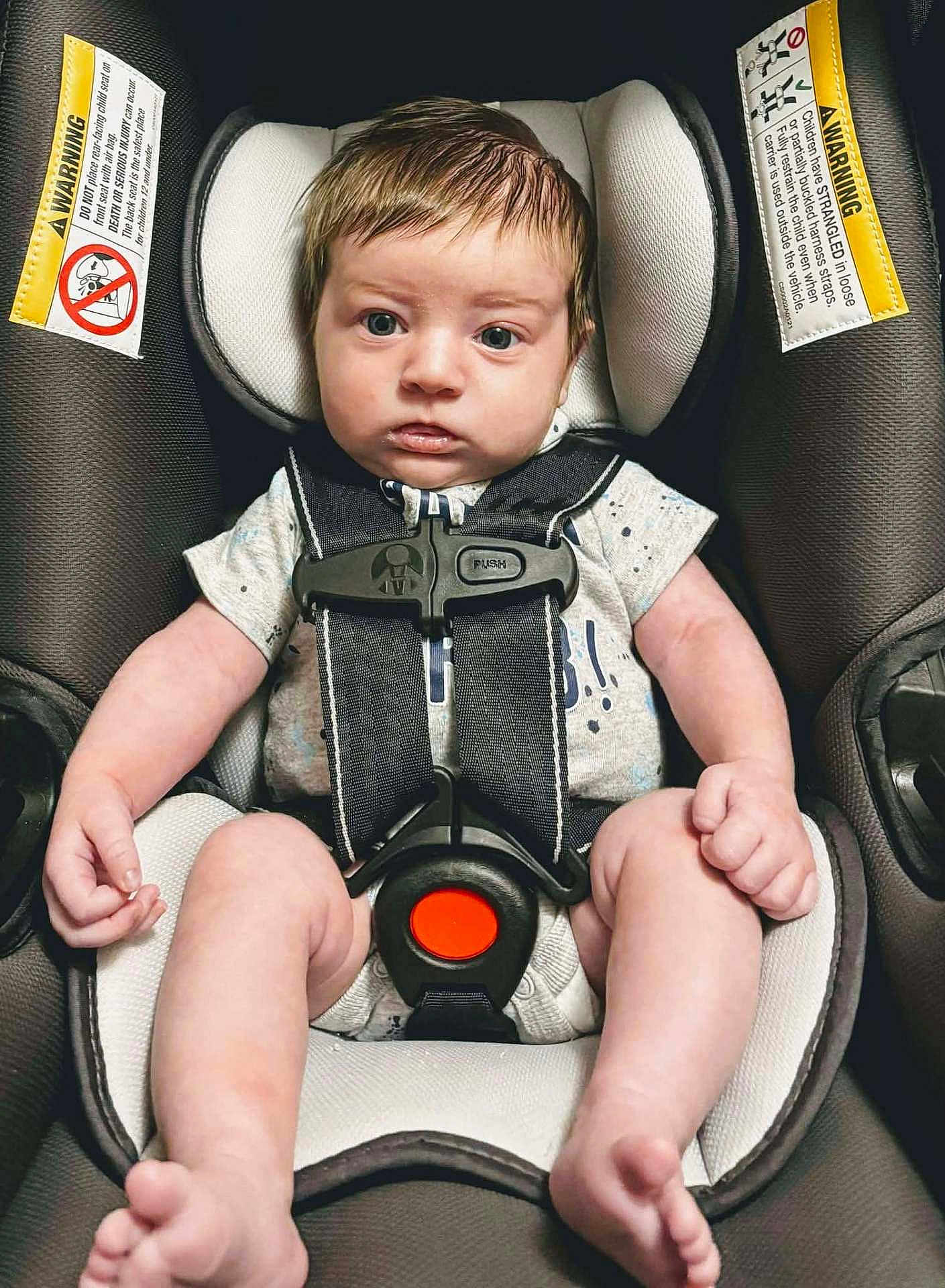Kohen joined the competition — help win amazing prizes! baby, infant, car_seat, safety_harness, child, straps, seat, face, serious, looking, indoor, clothing, legs, arms, feet, head, padding, warning_label, closeup, portrait