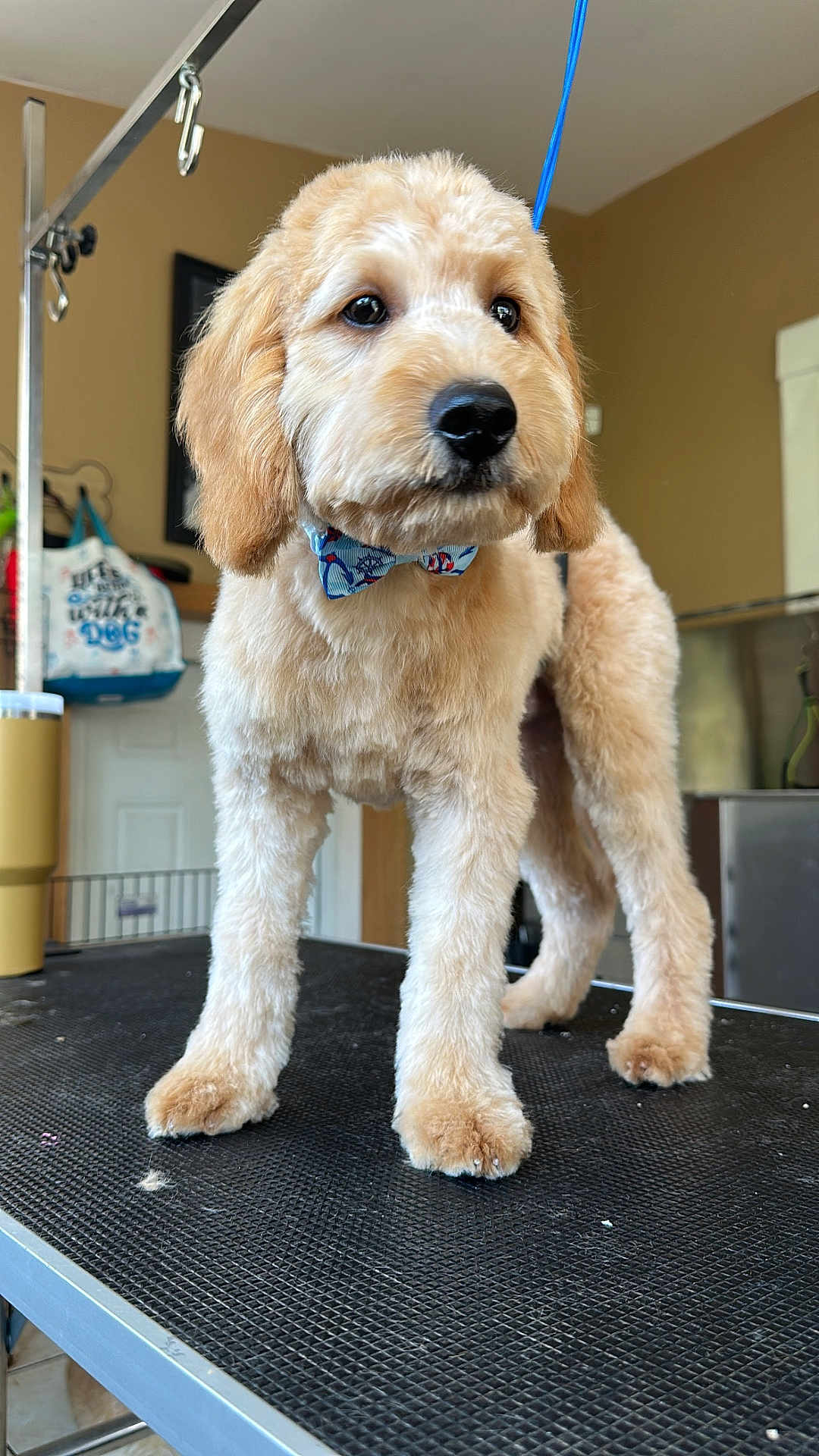 Max