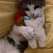 Philip joined the competition — help win amazing prizes! cat, kitten, plush_toy, stuffed_animal, bed, yellow_bedding, cute, pet, sleepy, cozy, indoor, animal, feline, resting, soft, comfort, cuddle, paw, whiskers, relaxed