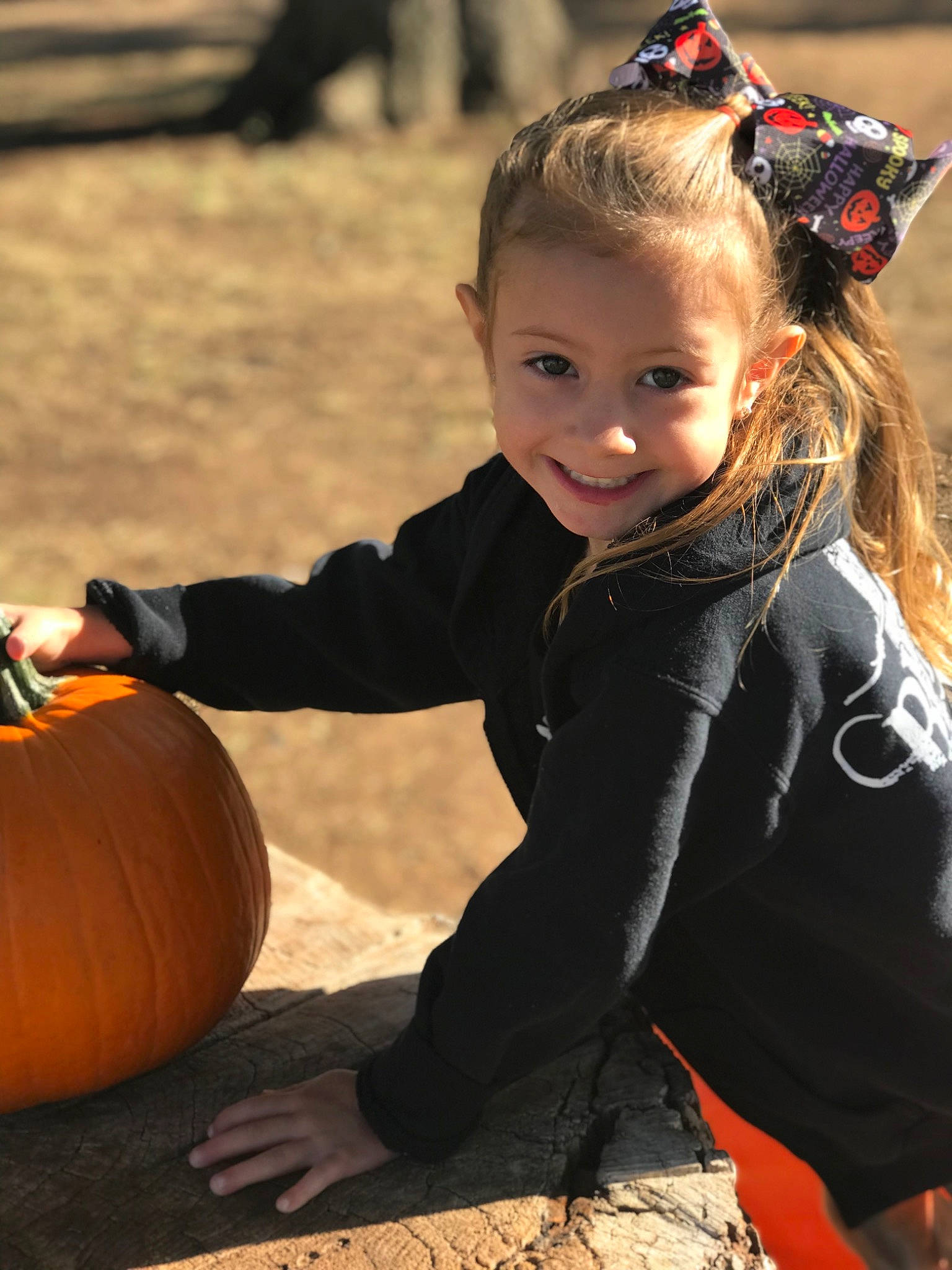 Lizzie is registered to the contest to win money with this photo: calabaza, child, cucurbita, facial_expression, fun, gourd, grass, happy, head, joy, natural_foods, people_in_nature, person, pumpkin, smile, squash, sunglasses, toddler, tree, vegetable