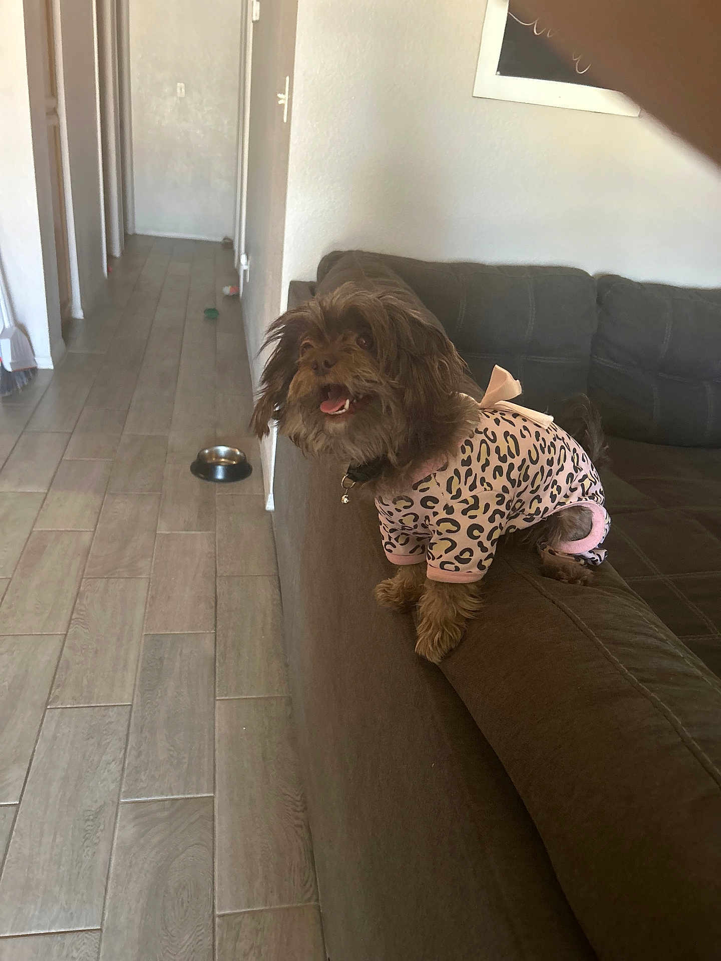 Cocoa