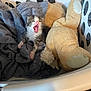 Pumba joined the competition — help win amazing prizes! kitten, cat, yawning, blanket, plush_toy, laundry_basket, cozy, soft, pet, animal, sleepy, cute, indoor, fur, small, resting, home, comfort, pink_nose, whiskers
