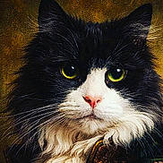King joined the competition — help win amazing prizes! cat, black_and_white, long_hair, green_eyes, portrait, fluffy, whiskers, close_up, animal, pet, feline, face, fur, nose, ears, indoor, soft_light, texture, detailed, majestic