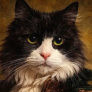 King is registered to the contest to win money with this photo: cat, black_and_white, portrait, fluffy_fur, close_up, animal, pet, yellow_eyes, whiskers, feline, majestic, detailed, fur_texture, indoor, looking_at_camera, cute, domestic_cat, animal_portrait, soft_lighting, serious_expression