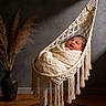 Rugvednandan is registered to the contest to win money with this photo: baby, blanket, cozy, decor, dried_grass, face, hammock, indoor, infant, knit, macrame, minimalist, newborn, pampas_grass, peaceful, portrait, sleeping, soft_light, vase, wrapped