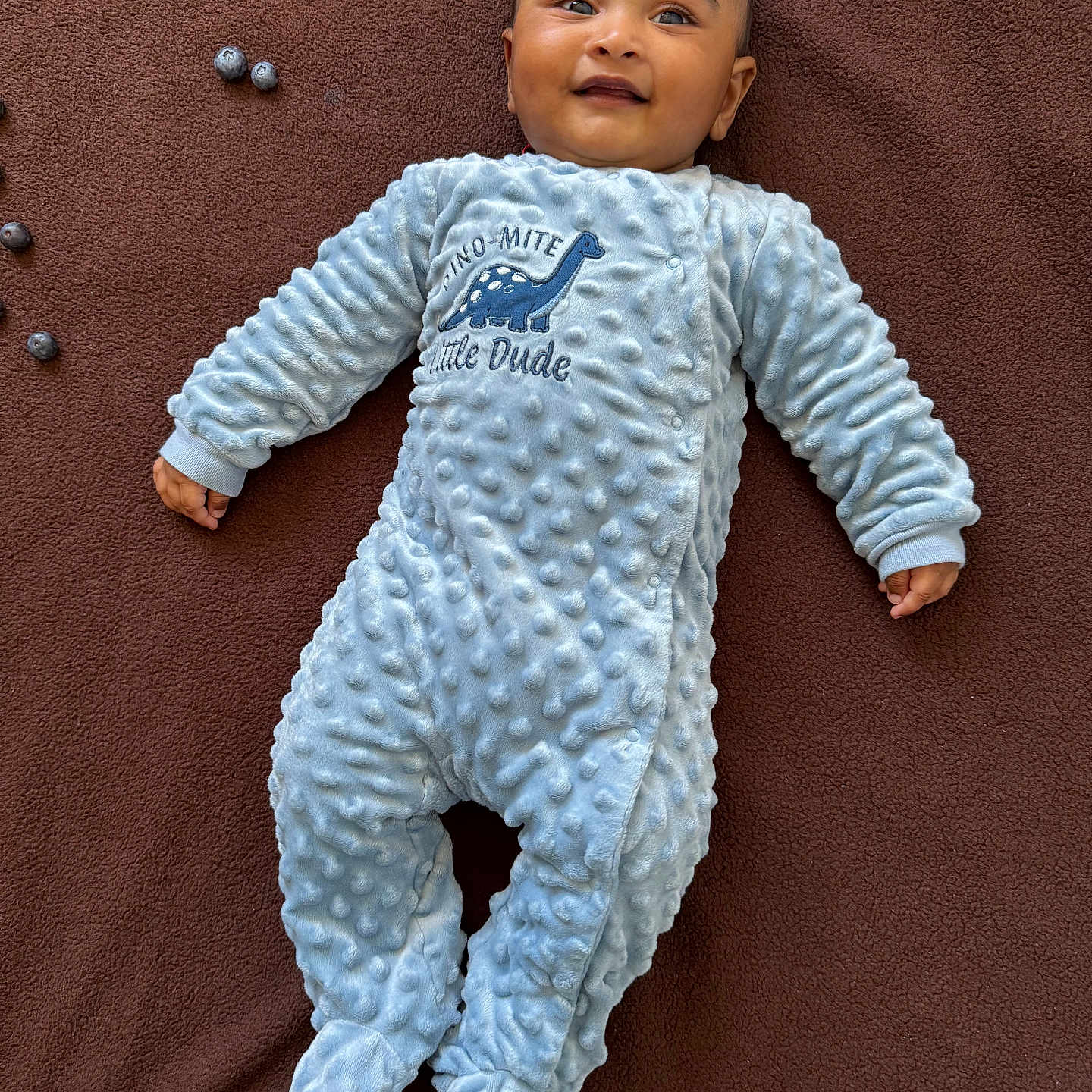 Rugvednandan joined the competition — help win amazing prizes! baby, blanket, blue, blueberries, brown, child, cozy, cute, dinosaur, face, happy, indoor, infant, little_dude, lying_down, onesie, person, smile, soft_texture, text
