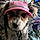 Addie