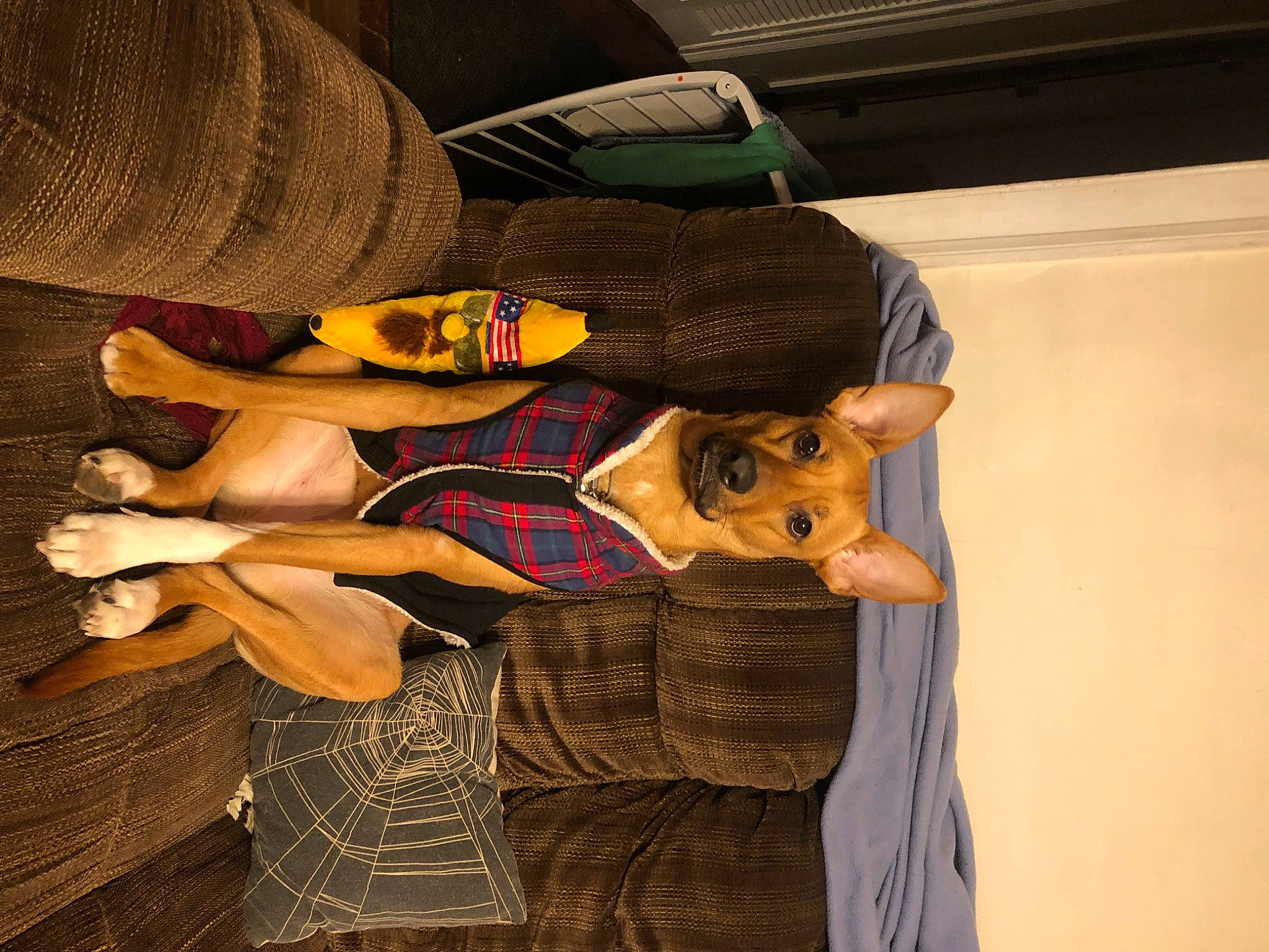 Motley joined the competition — help win amazing prizes! abdomen, art, comfort, event, fashion_design, flooring, fun, human_body, human_leg, knee, mammal, pattern, room, smile, textile, thigh, trunk, visual_arts, wood, wrist