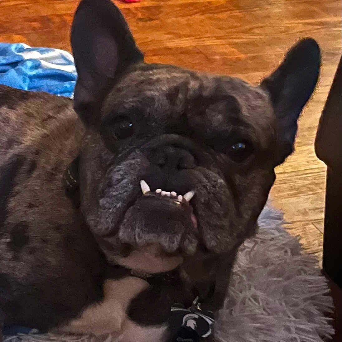 Sosa