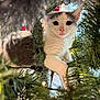 kitten, cat, christmas_tree, holiday_lights, greenery, festive, curious, pet, indoor, closeup, whiskers, pink_nose, white_fur, gray_fur, branches, ornament, decorations, playful, young, animal
