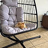 dog, puppy, small_dog, fluffy, hanging_chair, cushion, indoor, floor_tile, living_room, modern, furniture, cozy, cute, pet, relaxing, brown_dog, resting, comfortable, minimalist, home