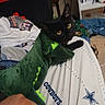 cat, black_cat, costume, dinosaur_costume, bed, bedding, cowboys, hand, indoor, pet, animal, feline, clothing, fabric, cozy, cute, resting, yellow_eyes, green, plush