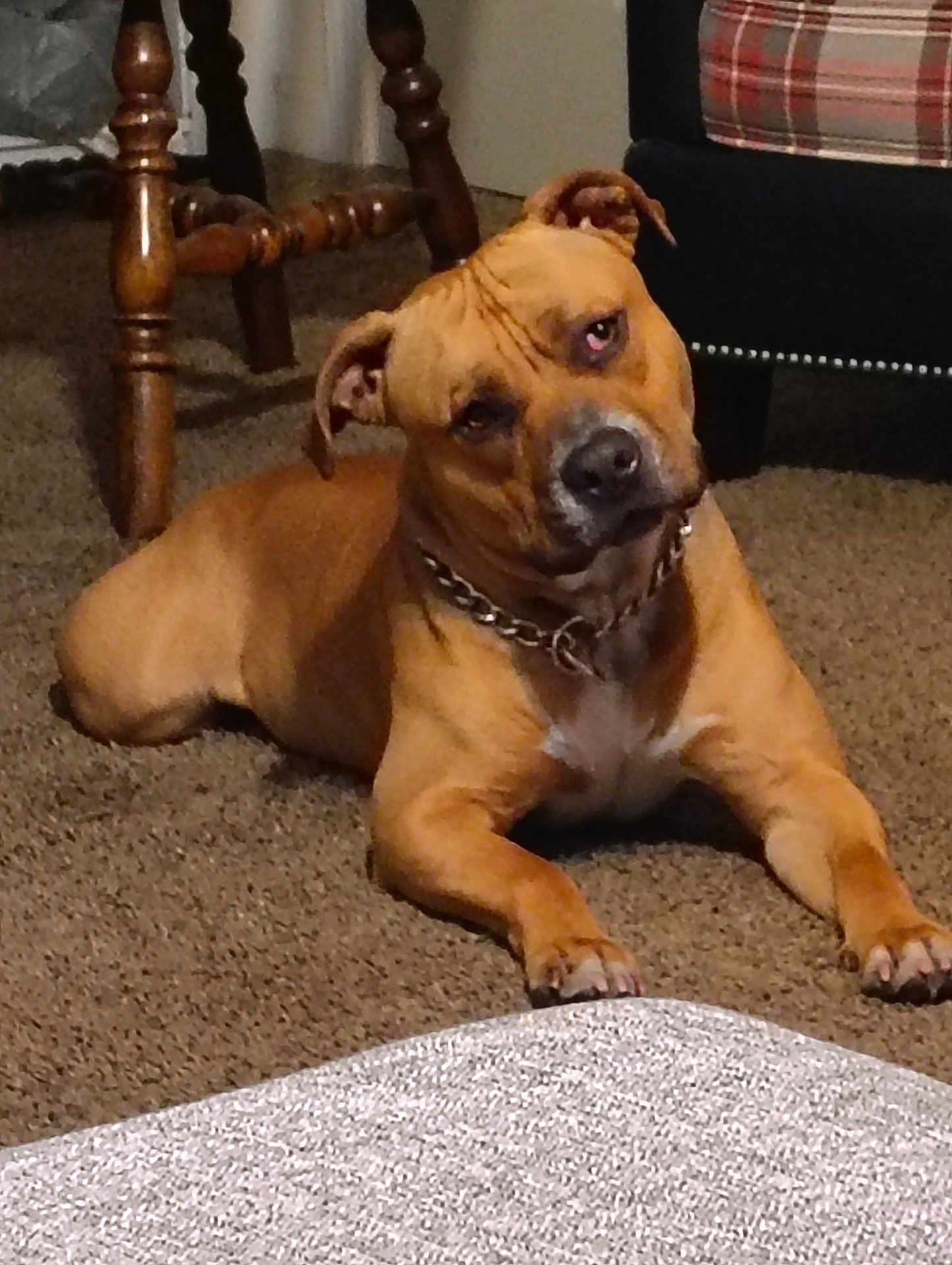 Fatboy