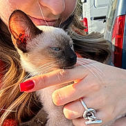 Kira participe au concours pour gagner de l'argent avec cette photo : woman, cat, siamese_cat, kitten, hand, fingernail, red_nail_polish, ring, face, closeup, outdoor, daylight, pet, animal, fur, whiskers, vehicle, background, person, cuddle