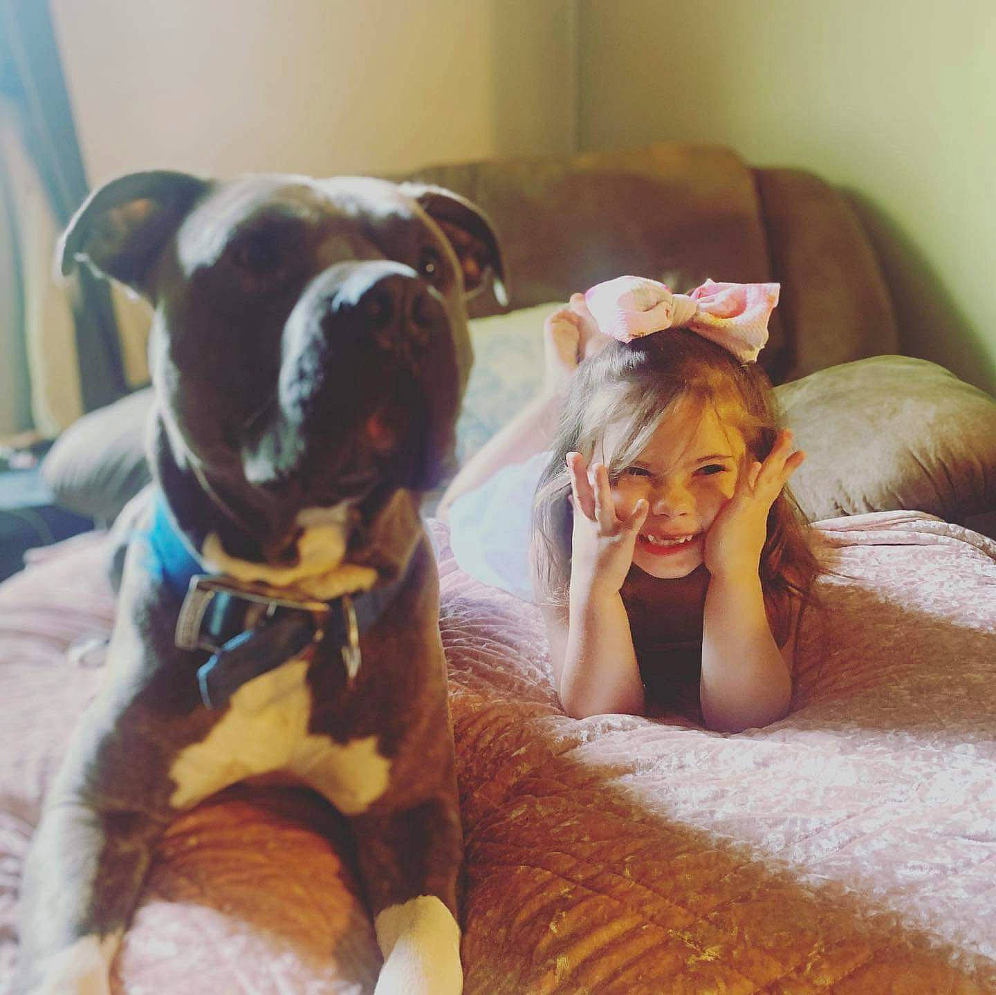 Kynzleigh is registered to the contest to win money with this photo: american_pit_bull_terrier, boxer, canidae, carnivore, companion_dog, dog, dog_breed, ear, fawn, great_dane, joy, love, non_sporting_group, person, pit_bull, puppy, puppy_love, selfie