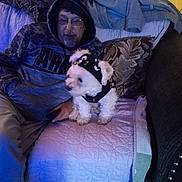 Kong is registered to the contest to win money with this photo: man, dog, indoor, couch, blanket, hoodie, glasses, pet_clothing, small_dog, quilt, pillow, casual, seated, relaxed, home, furniture, facial_hair, beard, clothing, portrait