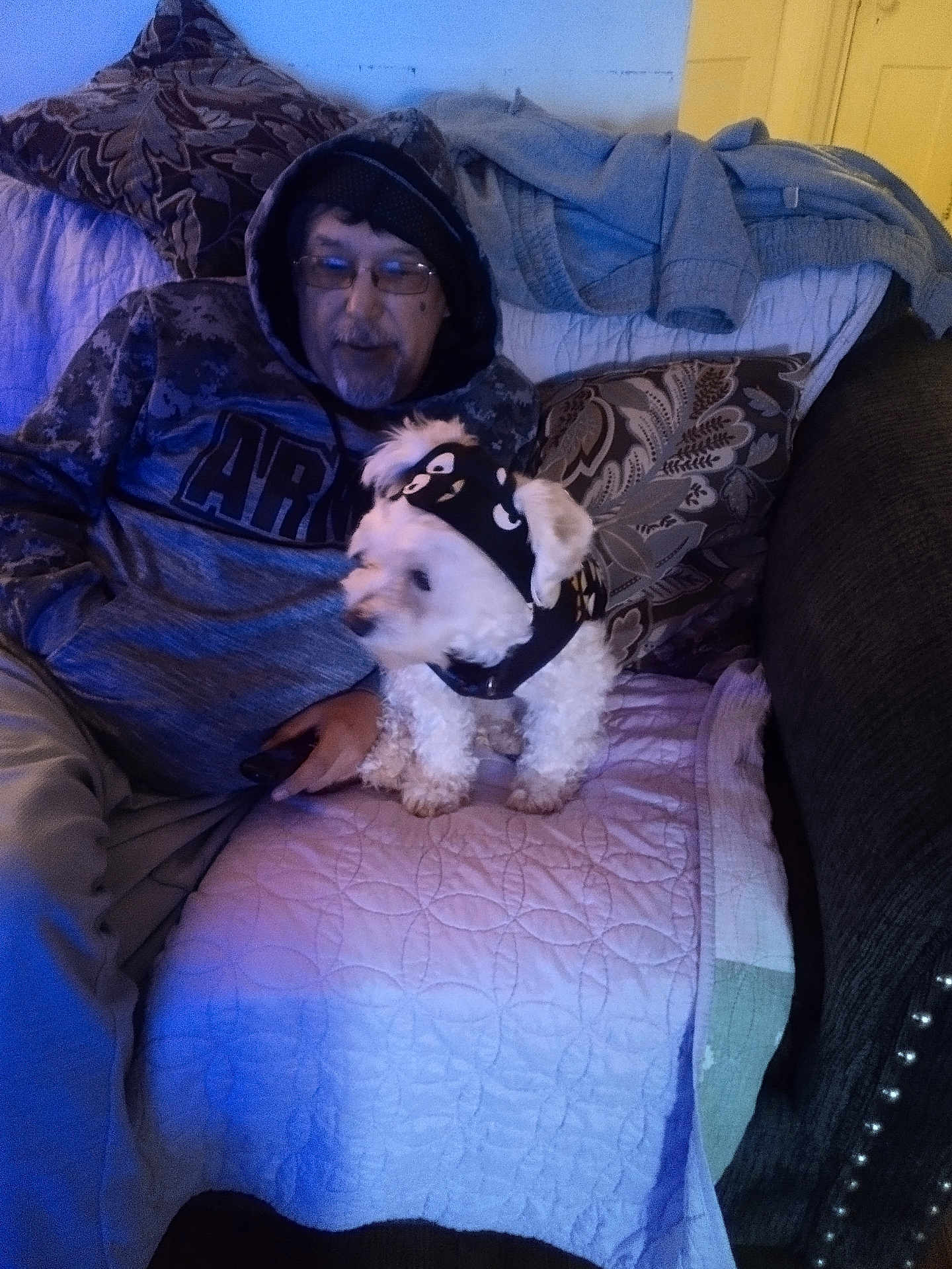 Kong is registered to the contest to win money with this photo: man, dog, indoor, couch, blanket, hoodie, glasses, pet_clothing, small_dog, quilt, pillow, casual, seated, relaxed, home, furniture, facial_hair, beard, clothing, portrait