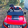 puppy, dog, toy_car, red_car, outdoor, grass, trees, bushes, pet, animal, playful, cute, collar, black_dog, sunlight, nature, yard, summer, small_car, fun