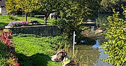 Tylon a rejoint le concours — aidez-le/la à gagner de superbes lots ! autumn, bench, collar, daytime, dog, flower, grass, leaves, mountain, nature, outdoor, path, reflection, river, scenic, sky, sunlight, trees, village, water