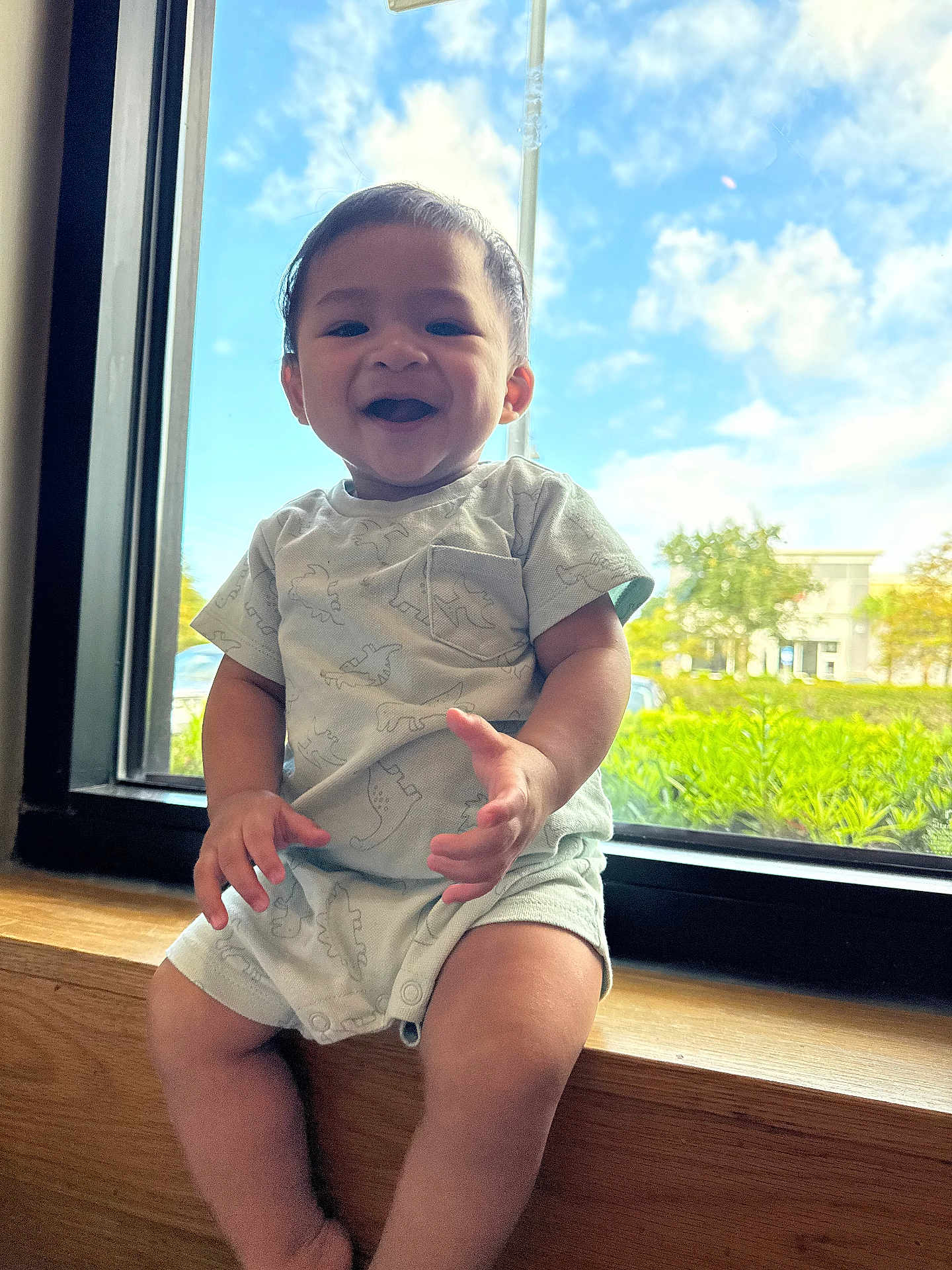 Tyson is registered to the contest to win money with this photo: baby, child, smiling, window, outdoor, sky, clouds, greenery, wood, ledges, dinosaur_pattern, shorts, tshirt, happy, sitting, portrait, natural_light, infant, cute, casual
