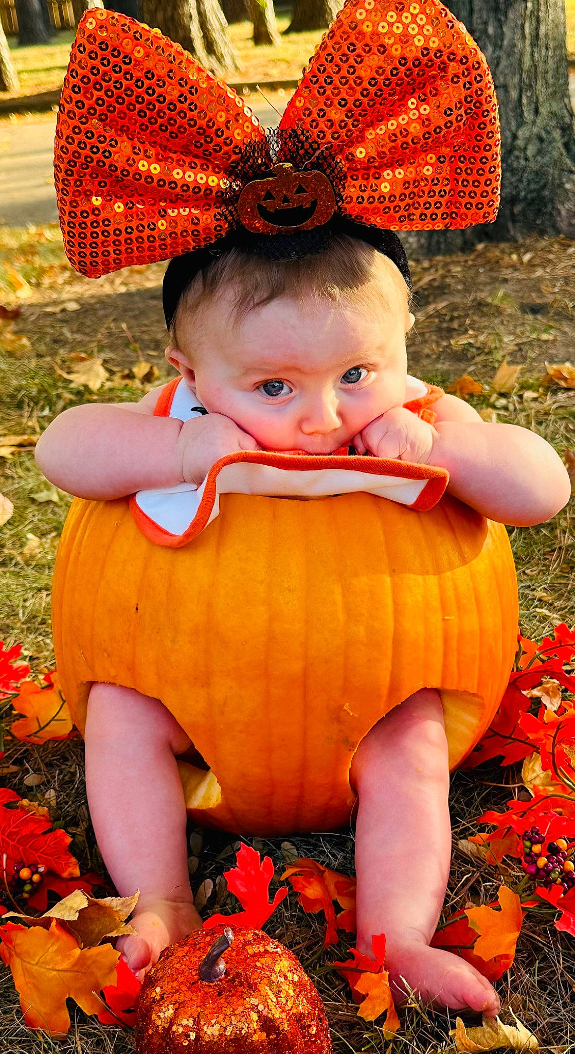 Madelyn joined the competition — help win amazing prizes! botany, calabaza, dress, eye, grass, green, hair, happy, head, human_body, leaf, orange, organ, people_in_nature, person, photograph, plant, pumpkin, smile, winter_squash