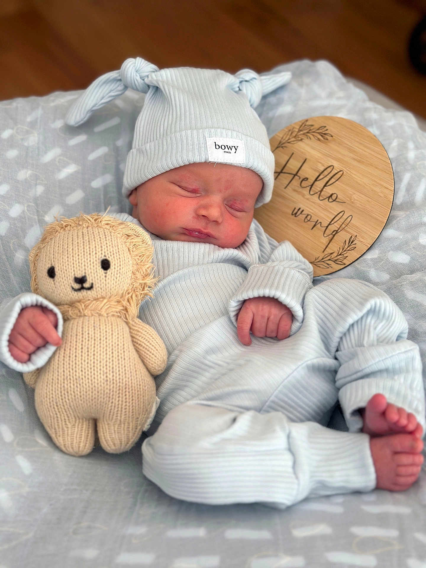 Kai is registered to the contest to win money with this photo: newborn, baby, sleeping, toy, knitted_lion, hat, pajamas, blanket, wooden_plaque, cozy, cute, infant, soft, patterned, peaceful, child, closeup, indoors, portrait, resting