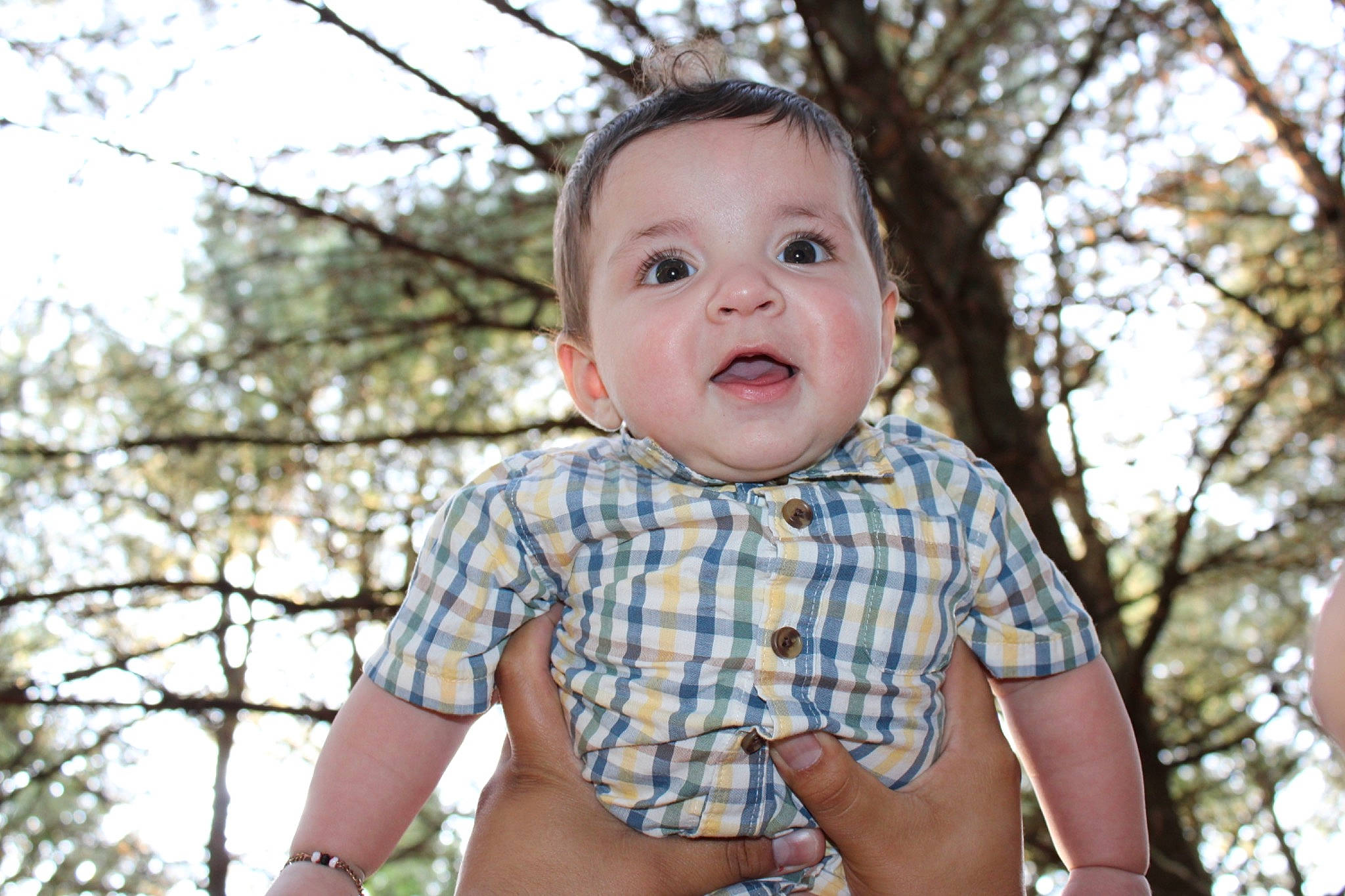 Nori joined the competition — help win amazing prizes! baby, electric_blue, eye, grass, hair, happy, head, leisure, pattern, people_in_nature, person, plaid, plant, recreation, skin, sky, smile, tartan, toddler, tree