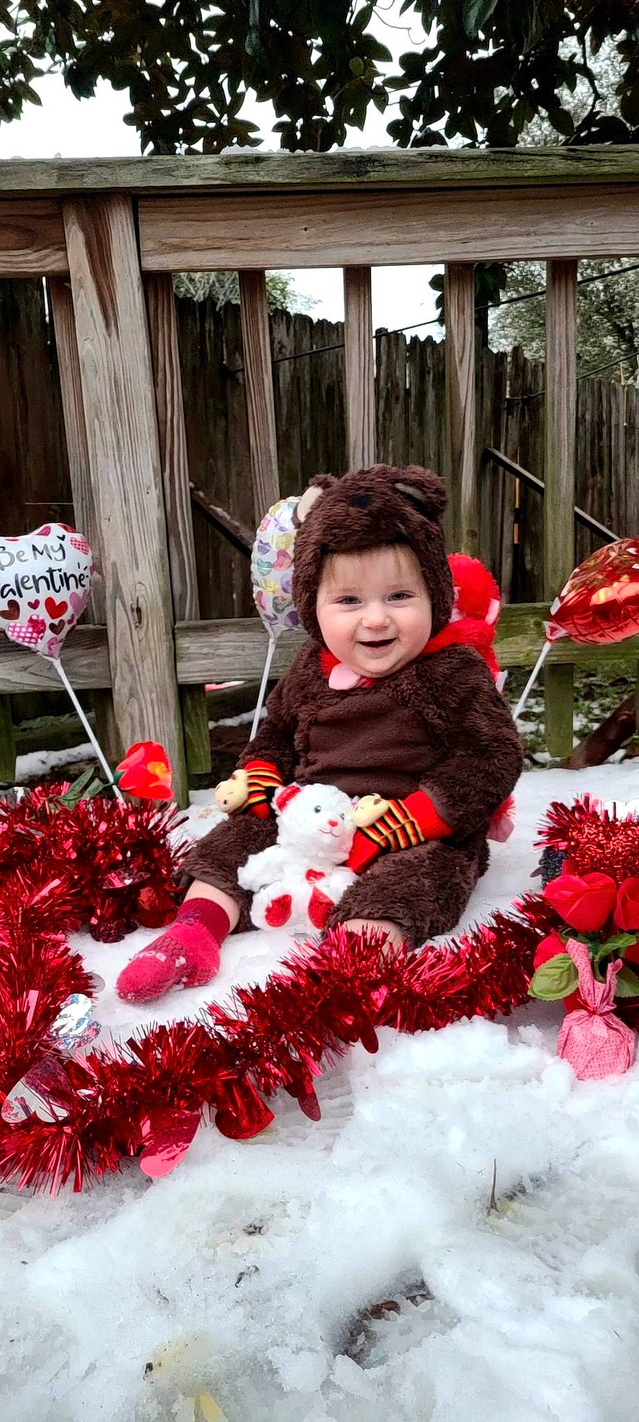 Ezekiel is registered to the contest to win money with this photo: carmine, child, christmas, event, floral_design, floristry, fun, fur, happy, holiday, joy, leisure, person, petal, plant, red, smile, textile, toddler, tradition