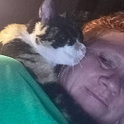 Kitten joined the competition — help win amazing prizes! calico_cat, cat, close_up, companion, curly_hair, face, fur, green_clothing, human, indoor, intimate, person, pet, quiet, relaxed, resting, shoulder, snuggling, soft_light, whiskers