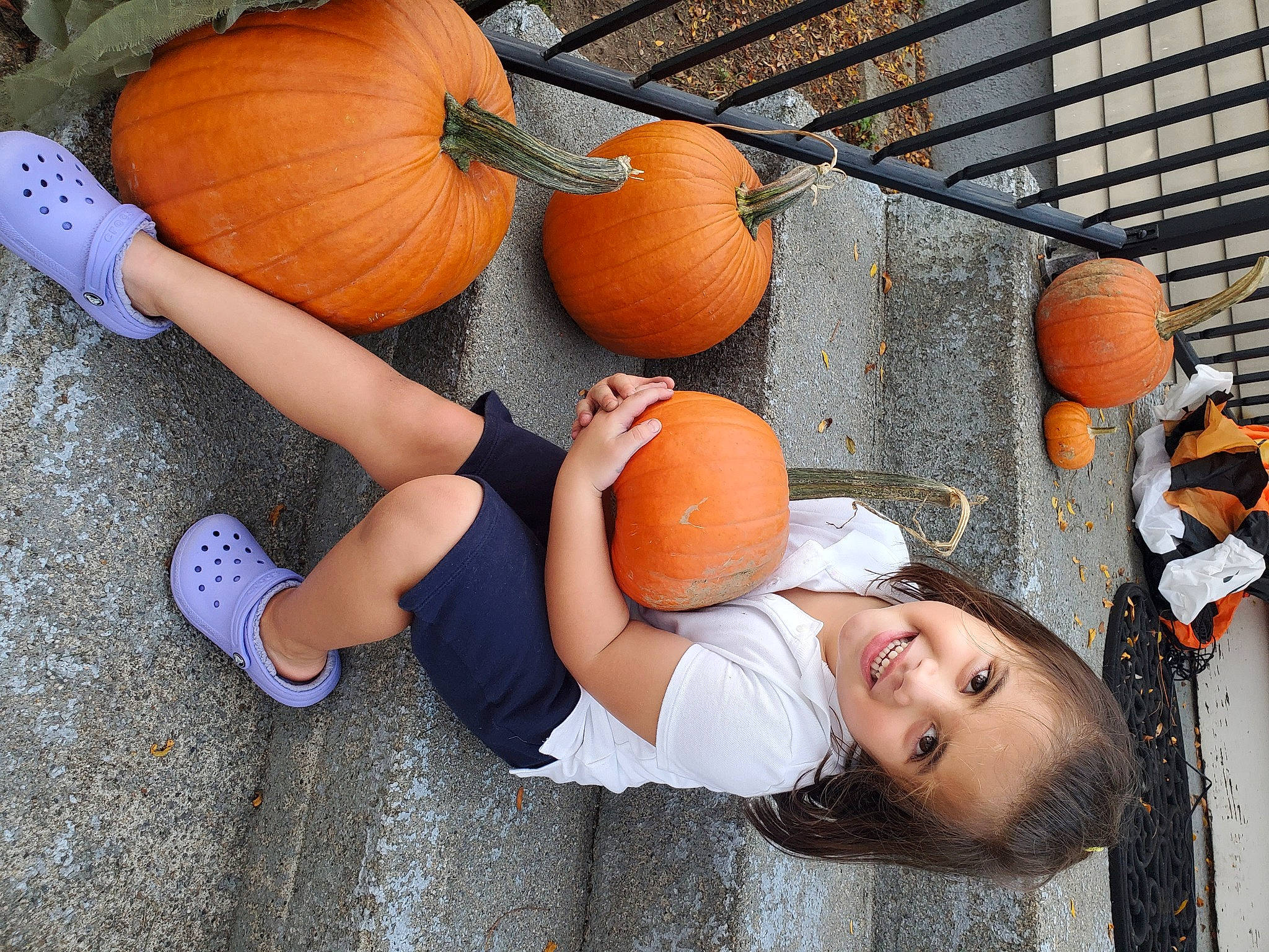 Kendall is registered to the contest to win money with this photo: art, calabaza, chair, cucurbita, food, fruit, gourd, human_leg, joy, natural_foods, orange, person, plant, produce, pumpkin, squash, thigh, tree, vegetable, whole_food
