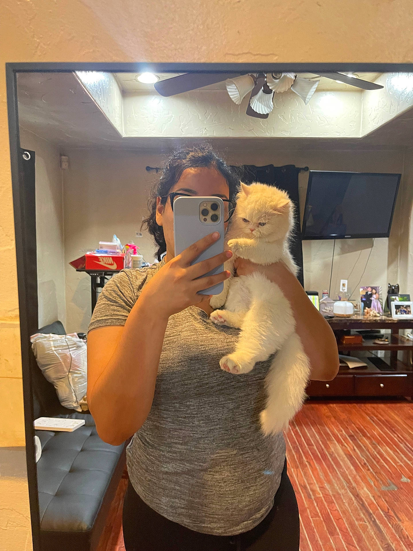 Elsa Marie joined the competition — help win amazing prizes! black_pants, cat, ceiling_fan, cozy, curtain, cute, fluffy_cat, furniture, gray_shirt, holding, home, indoor, living_room, mirror, person, phone, reflection, selfie, television, wood_floor