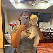 Elsa Marie joined the competition — help win amazing prizes! person, cat, mirror, indoor, selfie, phone, furniture, ceiling_fan, television, curtain, wood_floor, gray_shirt, black_pants, fluffy_cat, holding, reflection, home, living_room, cozy, cute