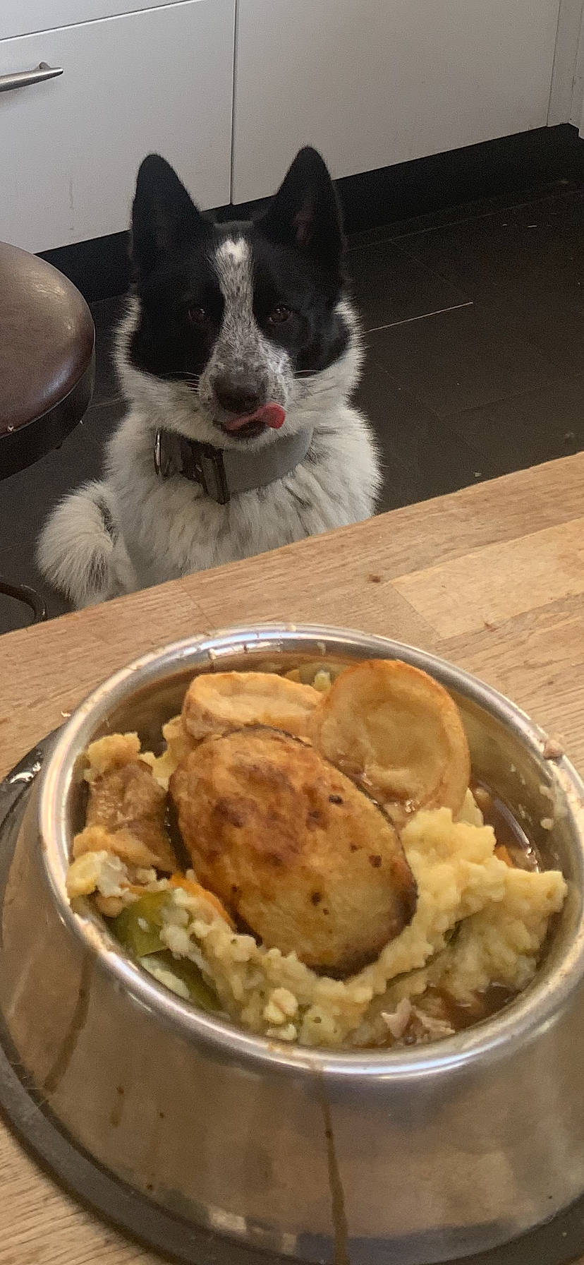 Smokey joined the competition — help win amazing prizes! carnivore, chicken_meat, comfort_food, companion_dog, cuisine, dish, dondurma, felidae, food, gelato, ice_cream, ingredient, meat, plate, produce, recipe, small_to_medium_sized_cats, table, tableware, whiskers