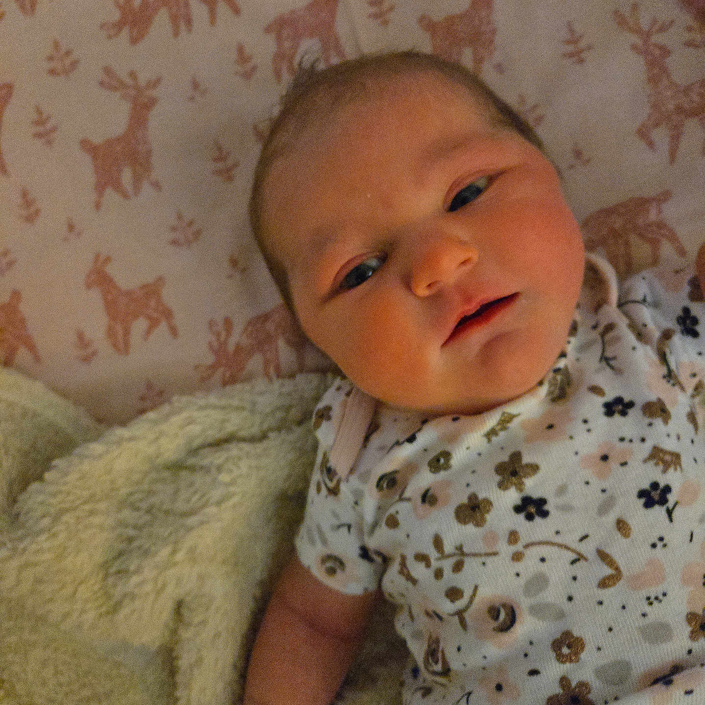 Aurora is registered to the contest to win money with this photo: baby, bed, bedroom, blanket, couch, crib, cushion, face, furniture, head, homedecor, indoors, infantbed, linen, newborn, person, photography, portrait, quilt, room