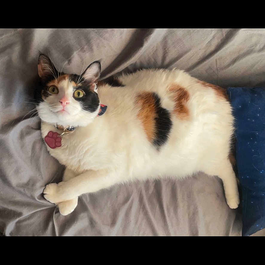 Ramona
