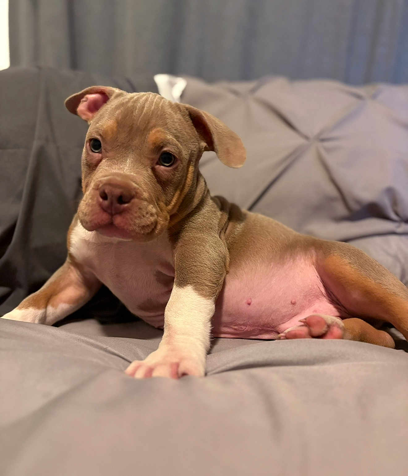 Tank