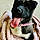 Licksy Lou