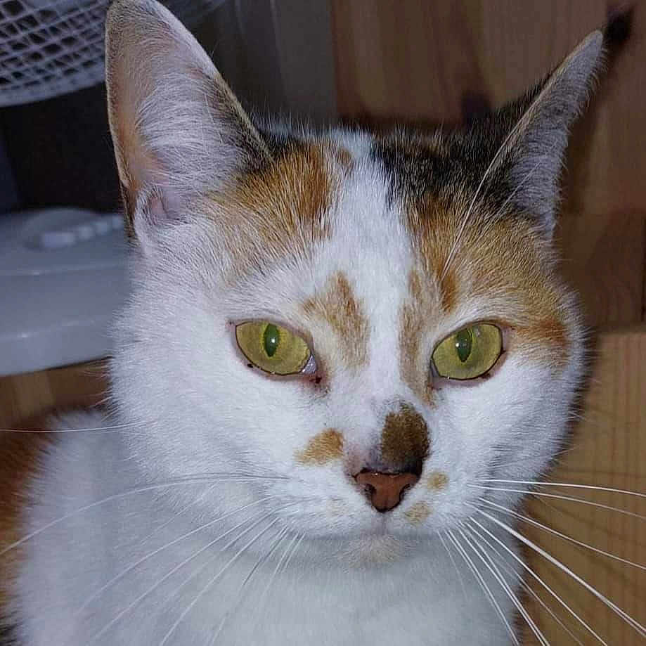 Winnie