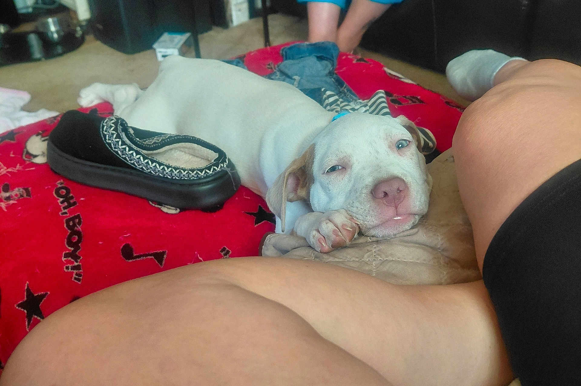 Diesel