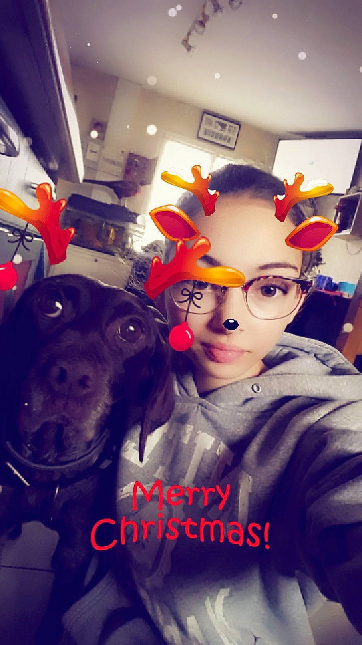 Cheyenne a rejoint le concours — aidez-le/la à gagner de superbes lots ! canidae, companion_dog, cool, eyewear, fawn, fictional_character, non_sporting_group, person, photo_caption, photography, selfie, smile