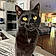 Binx