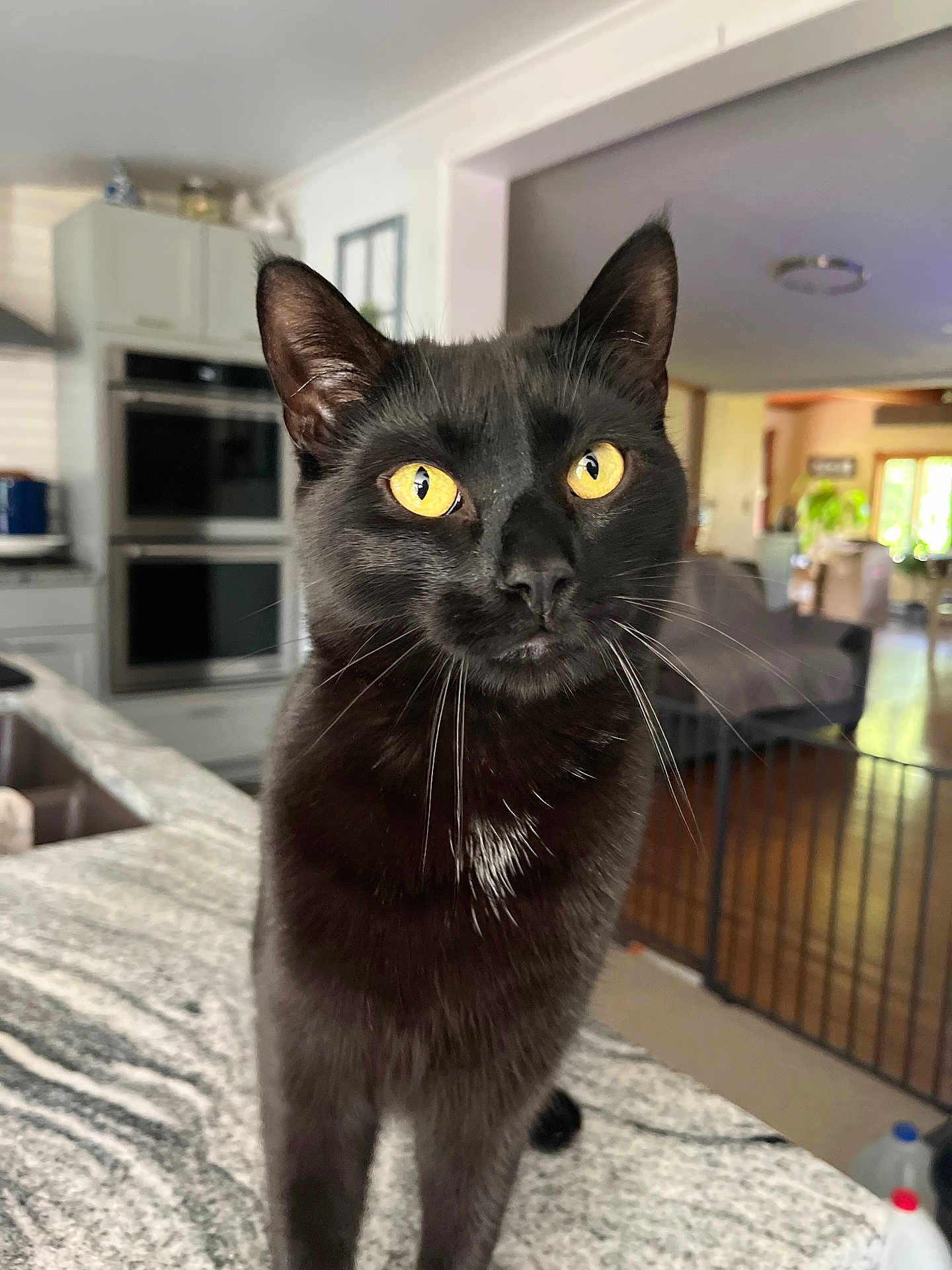 Binx